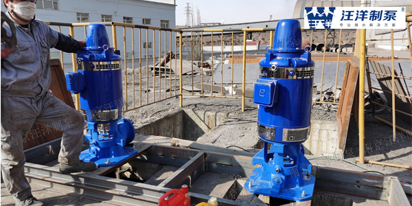 汪洋泵业：顺利完成与内蒙古某公司长轴深井泵的采购合作