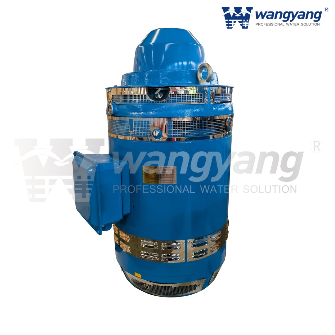 立式空心轴电机（WP1_IP23）