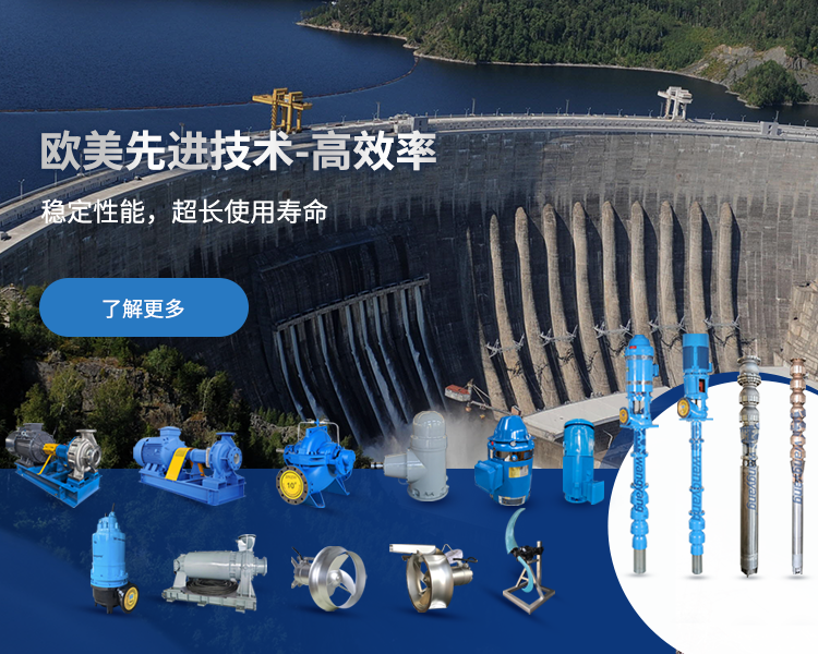  Advanced German-US Technology Industrial Pump Range 