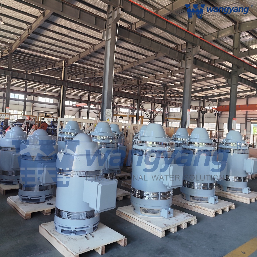 立式空心轴电机（WP1_IP23）