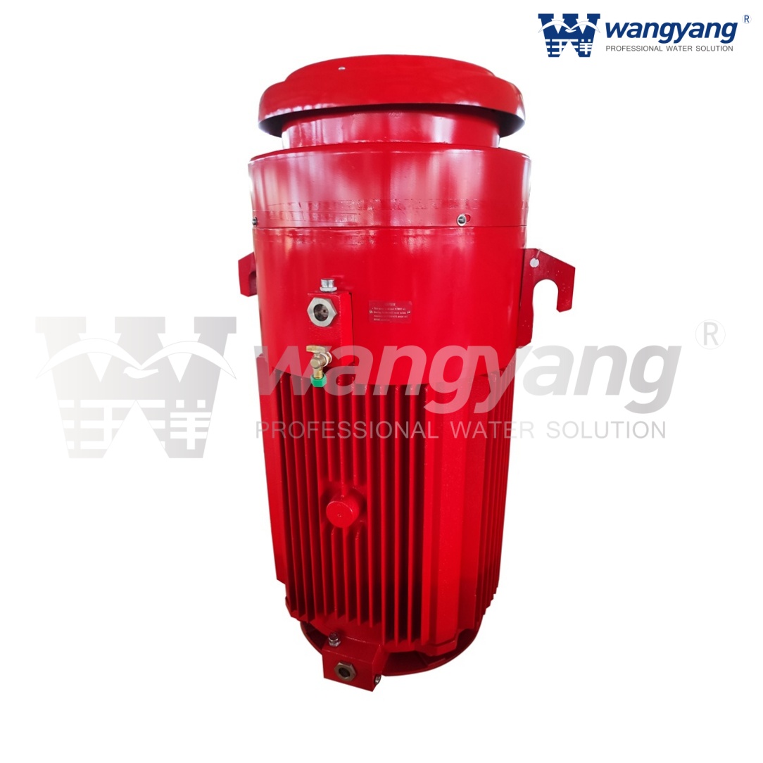 立式空心轴电机（TEFC_IP54）