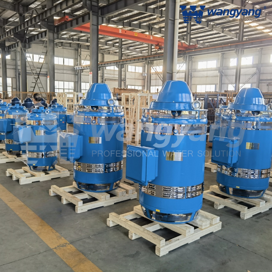 立式空心轴电机（WP1_IP23）