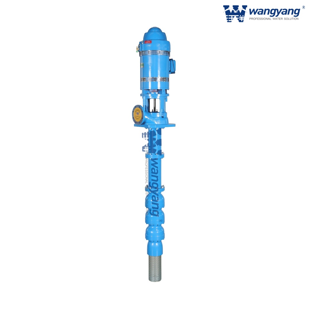 带 VHS 电机的立式涡轮泵