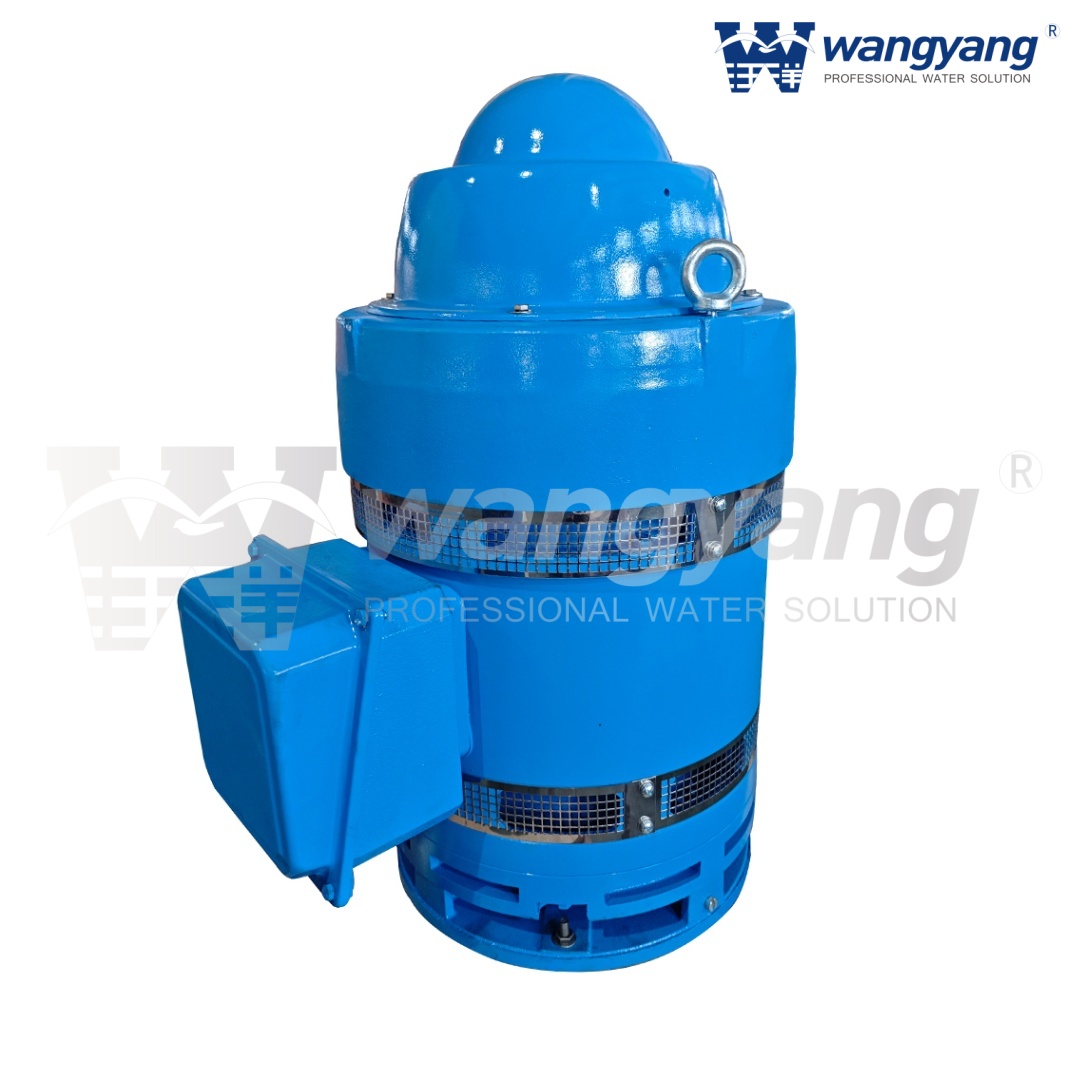 立式空心轴电机（WP1_IP23）